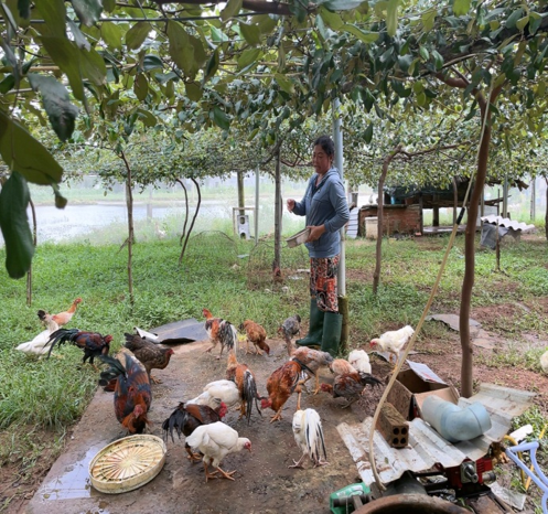 Gương phụ nữ điển hình trong phát triển kinh tế hộ gia đình

